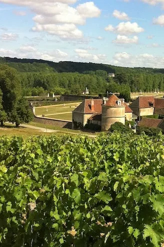 Vineyard overlooking the buildings and round tower of the Valmer estate