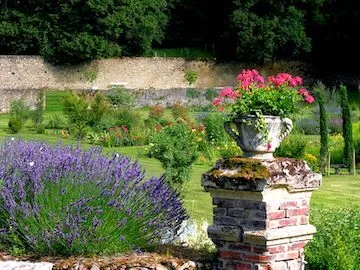 Lavender and an urn of pink geraniums on a brick pillar in the walled garden